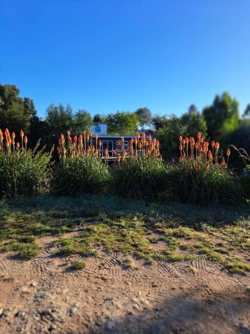 Cabana Cerca Del Aeropuerto Puerto Montt Bagian luar foto